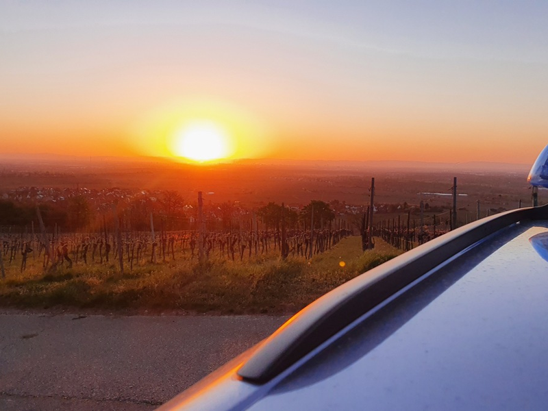 POL-PDNW: Urkundenfälschung - Foto: presseportal.de