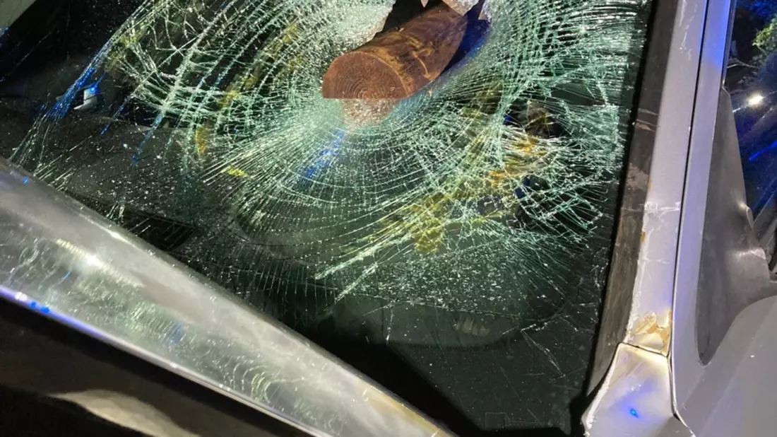 POL-K: 250401-2-K Wohnungen von mutmaßlichem Dealer durchsucht - umfangreiches Beweismaterial und große Mengen an Drogen sichergestellt - Bild: presseportal.de