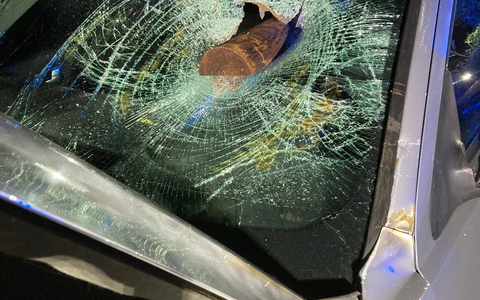 POL-K: 250401-2-K Wohnungen von mutmaßlichem Dealer durchsucht - umfangreiches Beweismaterial und große Mengen an Drogen sichergestellt - Foto: presseportal.de POL-K: 250401-2-K Wohnungen von mutmaßlichem Dealer durchsucht - umfangreiches Beweismaterial und große Mengen an Drogen sichergestellt - Foto: presseportal.de