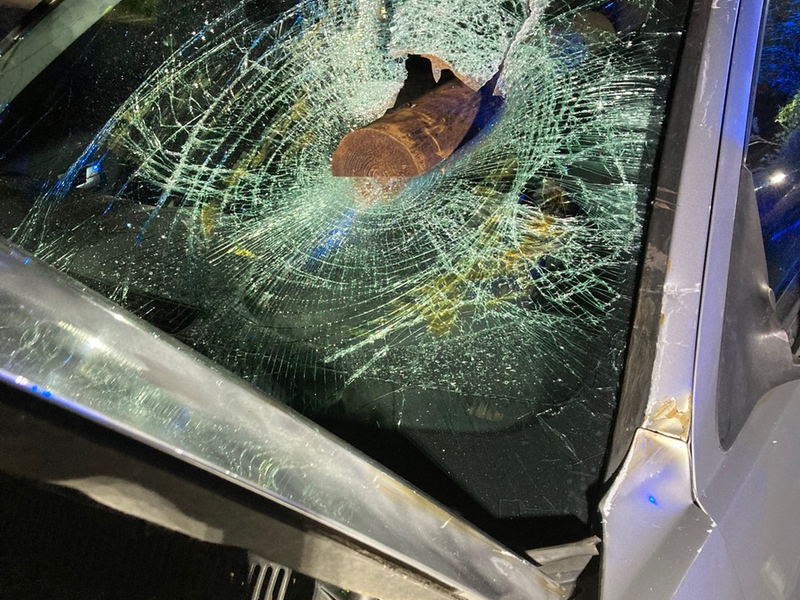 POL-K: 250401-2-K Wohnungen von mutmaßlichem Dealer durchsucht - umfangreiches Beweismaterial und große Mengen an Drogen sichergestellt - Foto: presseportal.de