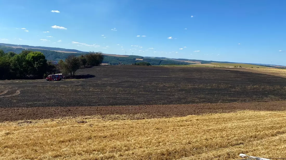 Umlaufbeschlüsse in Österreich erstmals vollständig digital: Resolvio integriert ID Austria für qualifizierte elektronische Signatur - Bild: presseportal.de