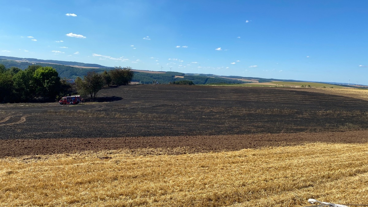 POL-PDNW: Eine Schorle zu viel... - Foto: presseportal.de