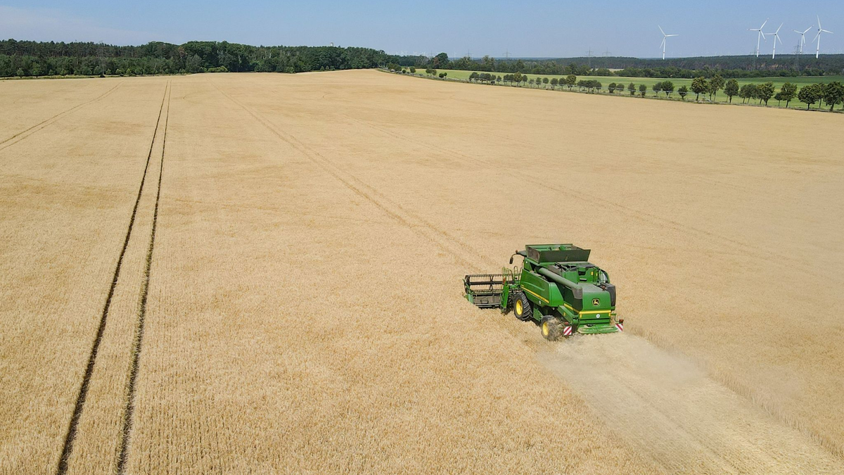 Für Bauern sollen  - Foto: Patrick Pleul/dpa