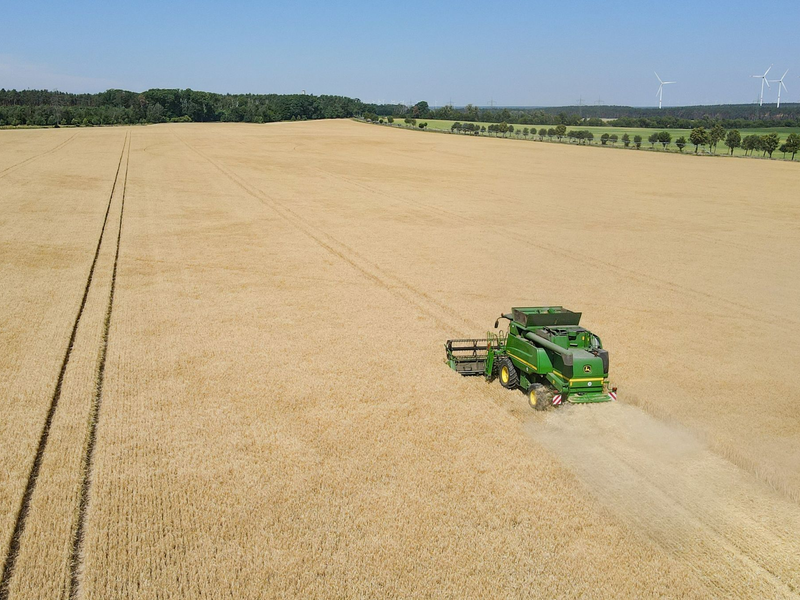 Für Bauern rücken versprochene Erleichterungen näher. - Foto: Patrick Pleul/dpa