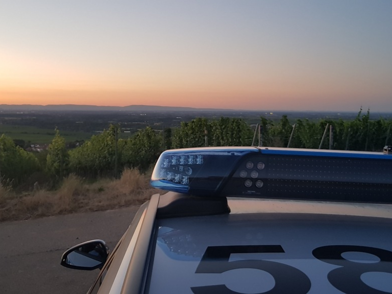 POL-PDNW: Verkehrsunfall mit leicht verletztem Fahrradfahrer - Foto: presseportal.de