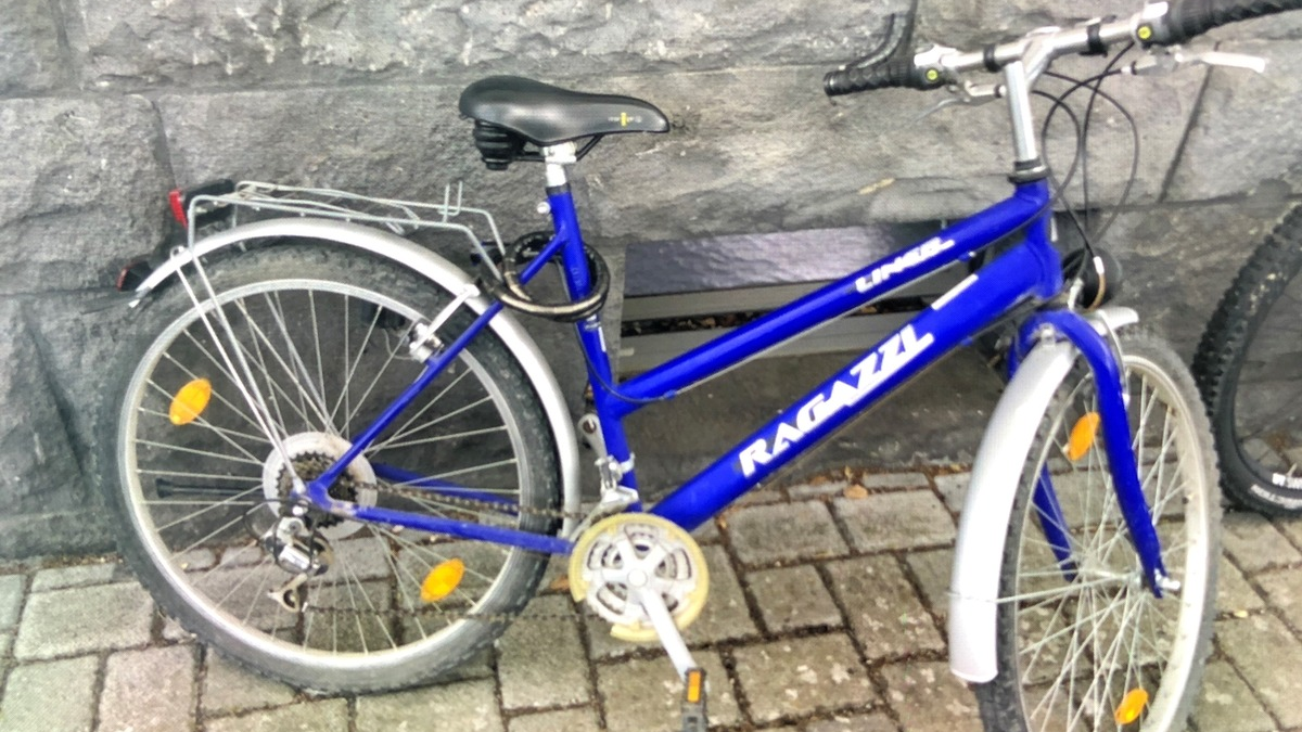 POL-PIING: Neue Mitte Ingelheim: Hochwertiges Fahrrad entwendet - Foto: presseportal.de