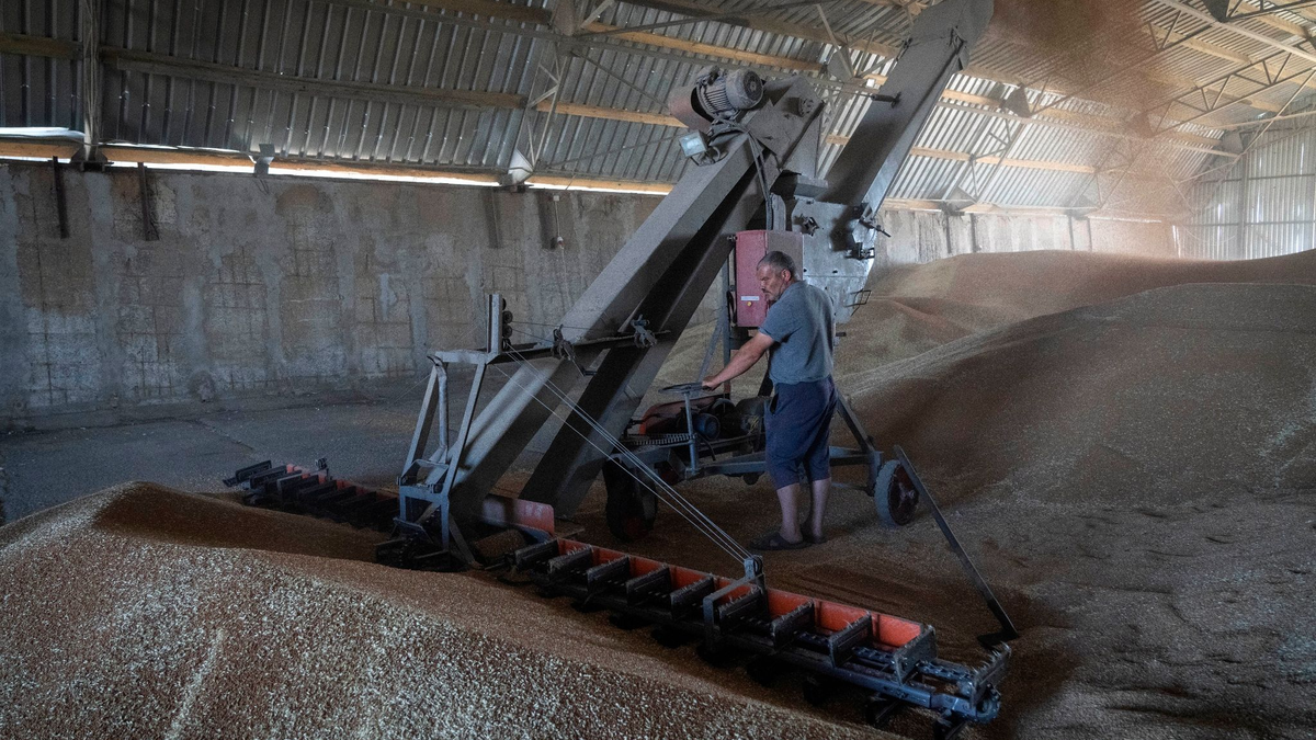 Russland hat das Abkommen zur Verschiffung von ukrainischem Getreide über das Schwarze Meer gestoppt. - Foto: Efrem Lukatsky/AP/dpa