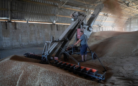 Russland hat das Abkommen zur Verschiffung von ukrainischem Getreide über das Schwarze Meer gestoppt. - Foto: Efrem Lukatsky/AP/dpa Russland hat das Abkommen zur Verschiffung von ukrainischem Getreide über das Schwarze Meer gestoppt. - Foto: Efrem Lukatsky/AP/dpa