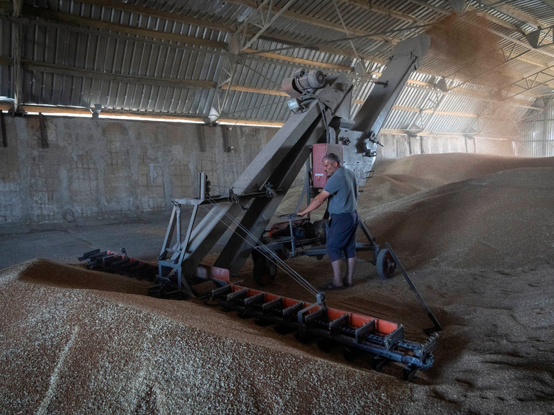 Russland hat das Abkommen zur Verschiffung von ukrainischem Getreide über das Schwarze Meer gestoppt. - Foto: Efrem Lukatsky/AP/dpa