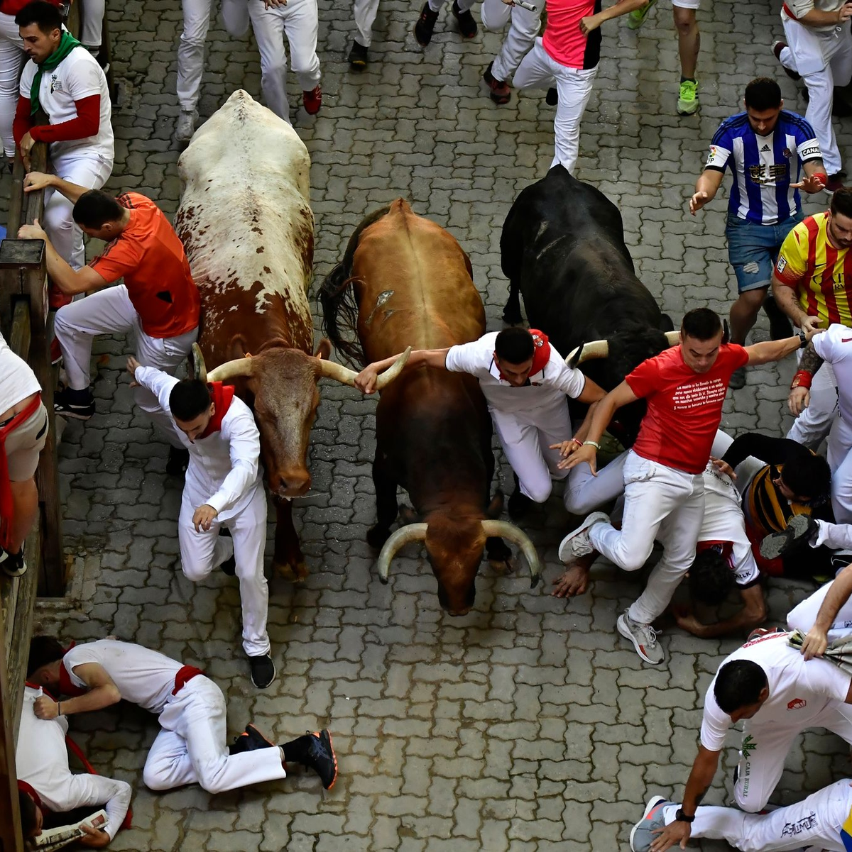 Im Verlauf des neuntätigen San-Fermín-Festes in Pamplona werden 48 Bullen getötet. (Archivbild) - Foto: Alvaro Barrientos/AP/dpa