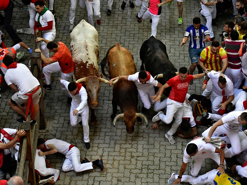 Im Verlauf des neuntätigen San Fermín-Festes in Pamplona werden 48 Bullen getötet. - Foto: Alvaro Barrientos/AP/dpa