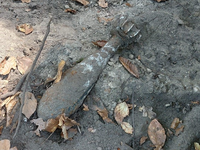 LPI-J: Ungewöhnlicher Fund beim Baden - Foto: presseportal.de