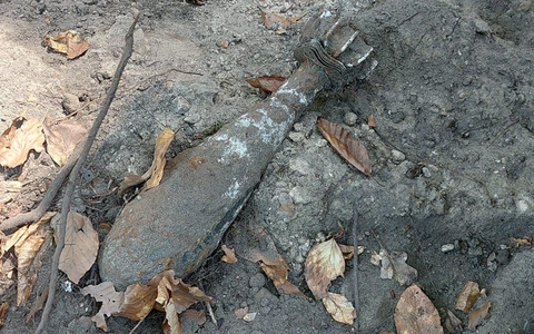 LPI-J: Ungewöhnlicher Fund beim Baden - Foto: presseportal.de