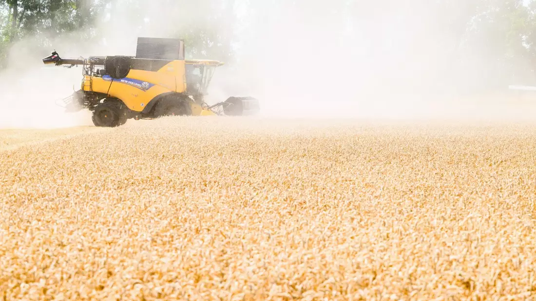 Die Ernährung von Menschen wird schwieriger, wenn es trockener wird. (Archivbild) - Bild: Julian Stratenschulte/dpa