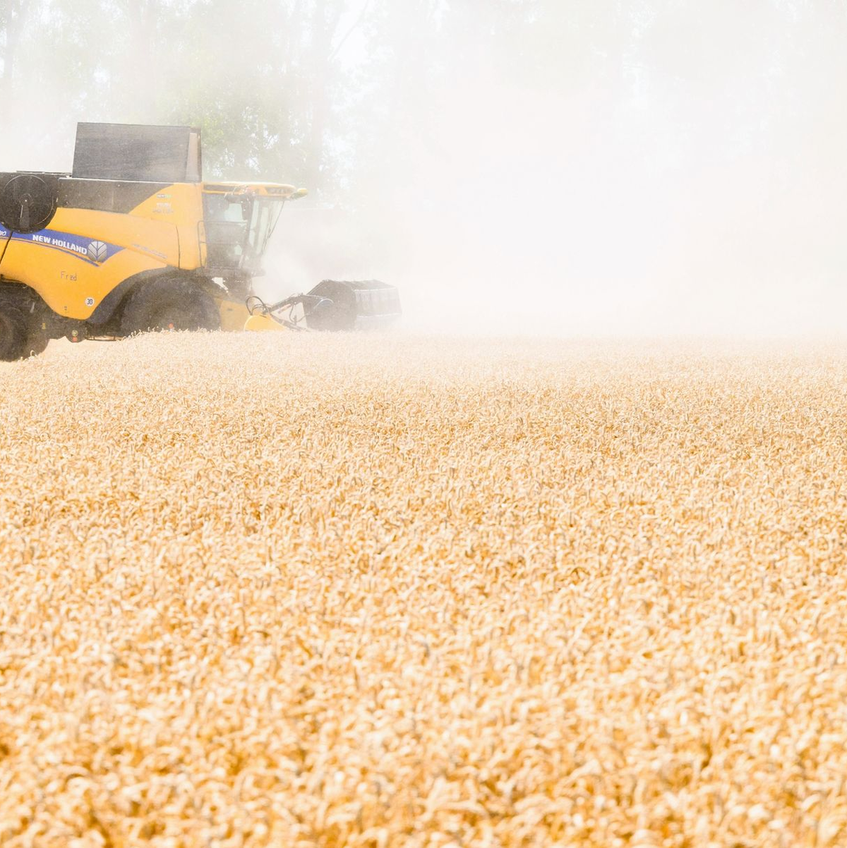 Die Ernährung von Menschen wird schwieriger, wenn es trockener wird. (Archivbild) - Foto: Julian Stratenschulte/dpa