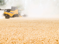 Die Ernährung von Menschen wird schwieriger, wenn es trockener wird. (Archivbild) - Foto: Julian Stratenschulte/dpa