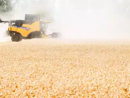 Die Ernährung von Menschen wird schwieriger, wenn es trockener wird. (Archivbild) - Foto: Julian Stratenschulte/dpa