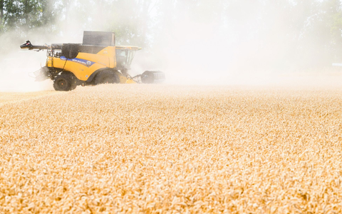 Die Ernährung von Menschen wird schwieriger, wenn es trockener wird. (Archivbild) - Foto: Julian Stratenschulte/dpa