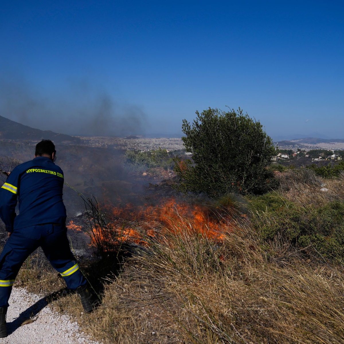 Jeder Großbrand verursacht Millionenschäden. (Archivbild) - Foto: Thanassis Stavrakis/AP/dpa