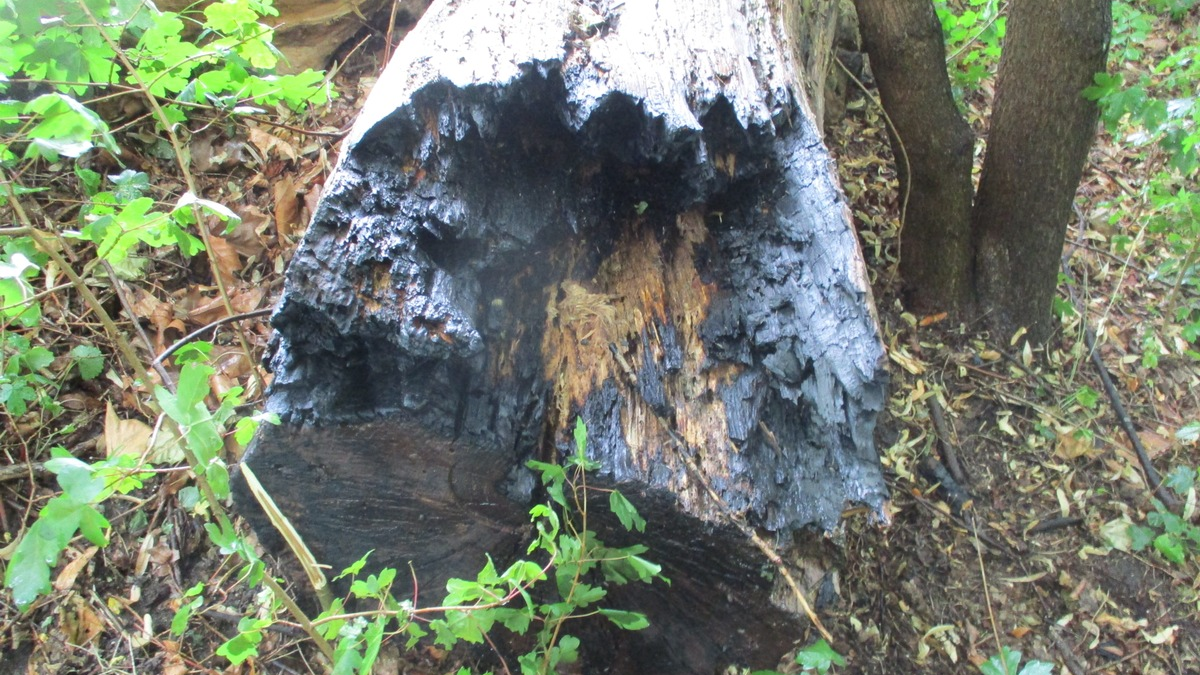 FW-GLA: Wohnungsbrand mit einer verstorbenen Person - Foto: presseportal.de