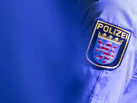 Eine entlaufene Hündin ist an einer Polizeiwache aufgetaucht (Symbolbild). - Foto: Boris Roessler/dpa