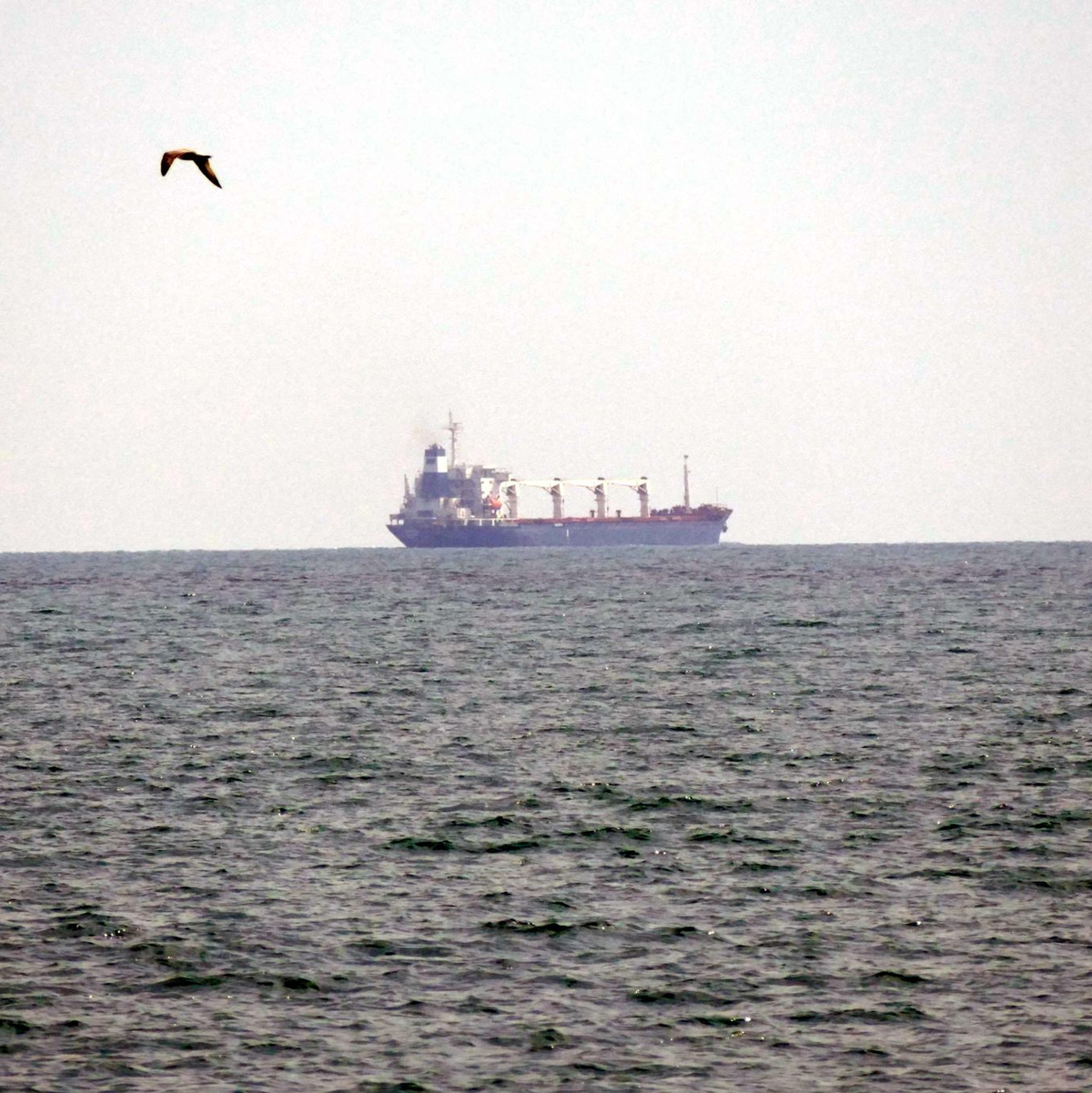 Hundeführer stehen neben einem Wohnhaus in Odessa, das von einer russischen Drohne zerstört wurde. - Foto: ---/Ukrinform/dpa
