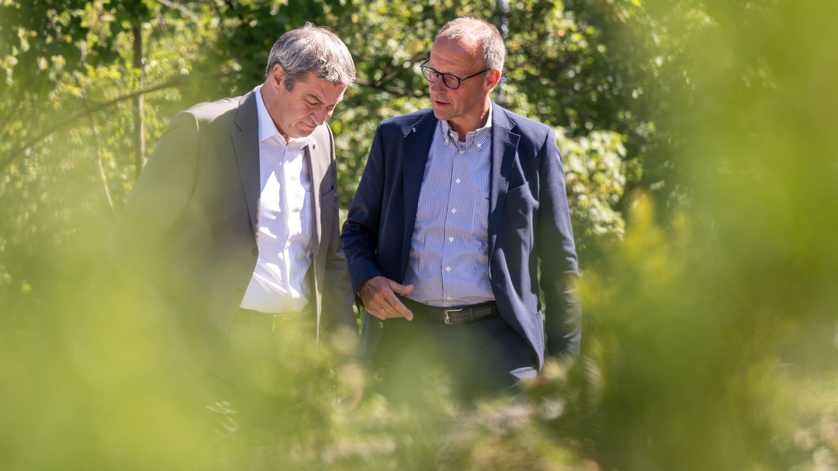 CSU-Chef Markus Söder und CDU-Chef Friedrich Merz in München. - Foto: Peter Kneffel/dpa