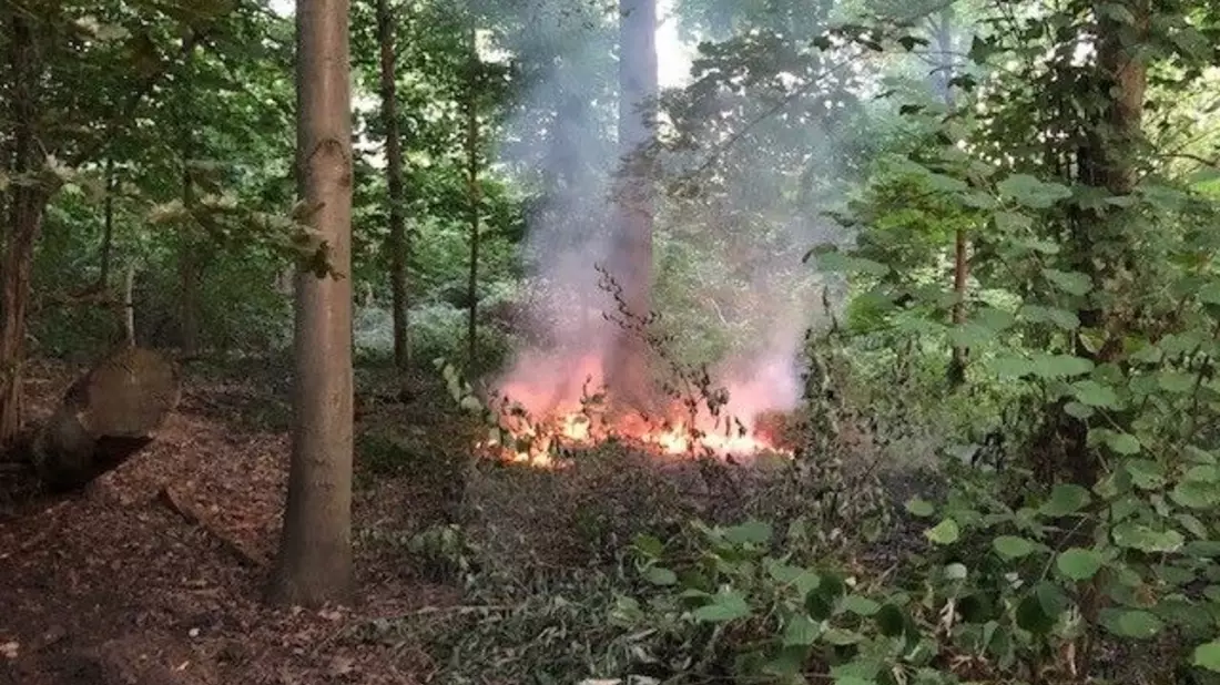 Sparen, bis es quietscht, wird zu sparen, bis es klemmt / Die Berliner Feuerwehr unter Druck - Bild: presseportal.de