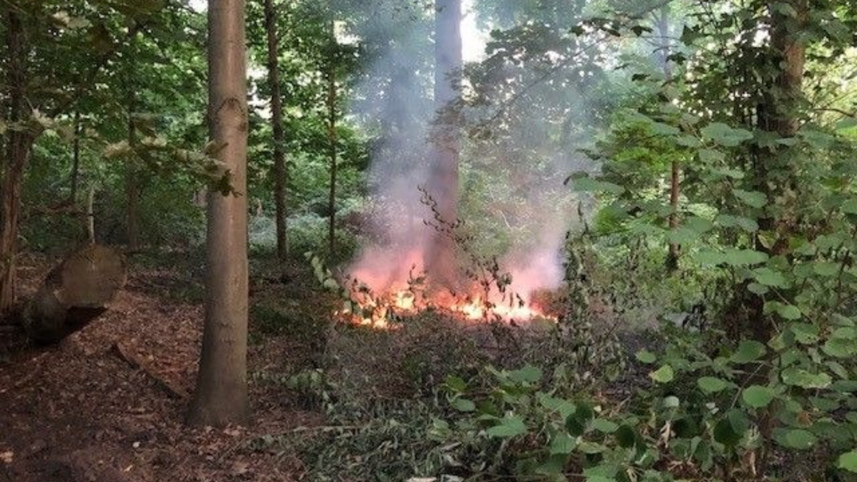 POL-ME: Dachstuhlbrand - die Polizei ermittelt - Heiligenhaus - 2501011 - Foto: presseportal.de