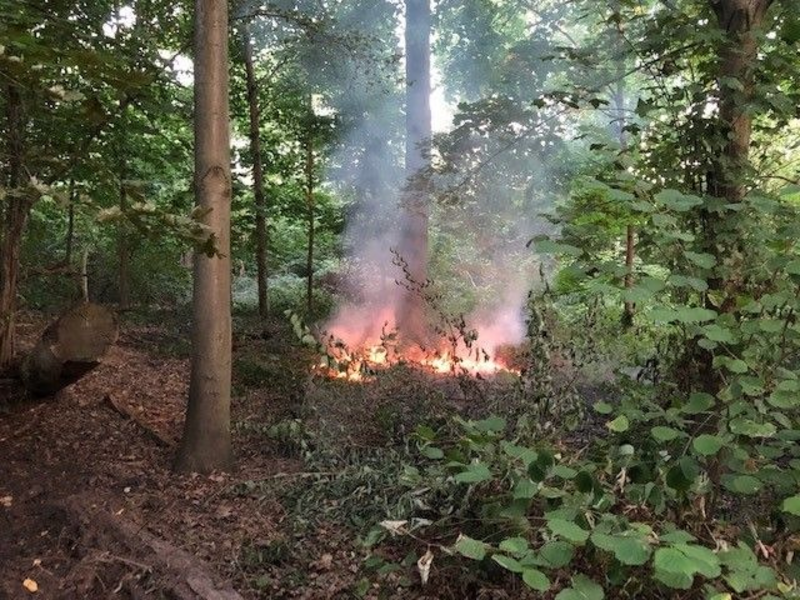Sparen, bis es quietscht, wird zu sparen, bis es klemmt / Die Berliner Feuerwehr unter Druck - Foto: presseportal.de