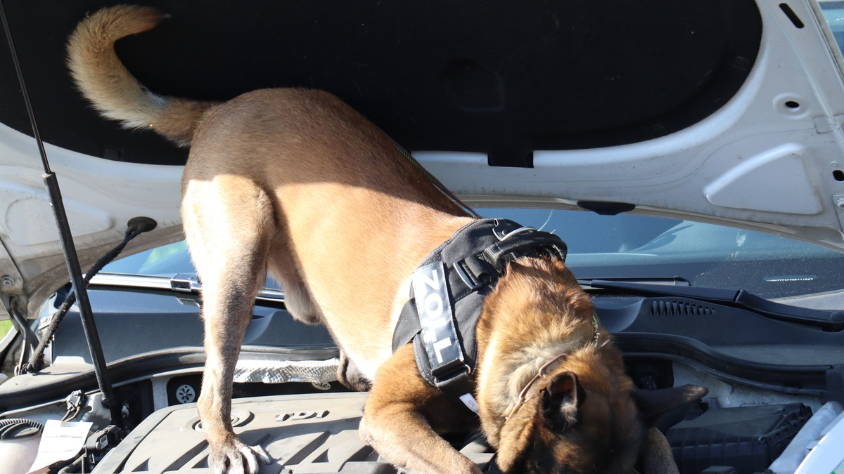 POL-VER: +Jugendlicher wird seit heute Morgen vermisst+(mit Bild) - Foto: presseportal.de