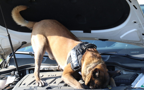 POL-VER: +Jugendlicher wird seit heute Morgen vermisst+(mit Bild) - Foto: presseportal.de