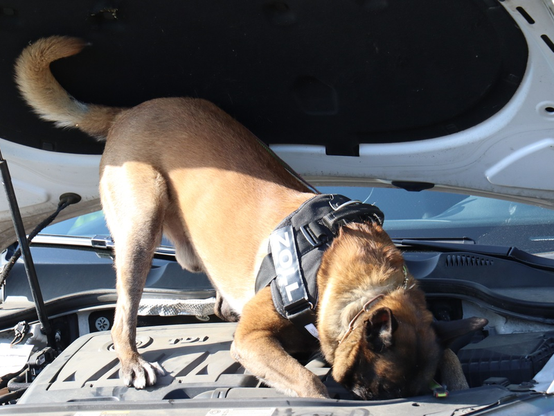 POL-VER: +Jugendlicher wird seit heute Morgen vermisst+(mit Bild) - Foto: presseportal.de