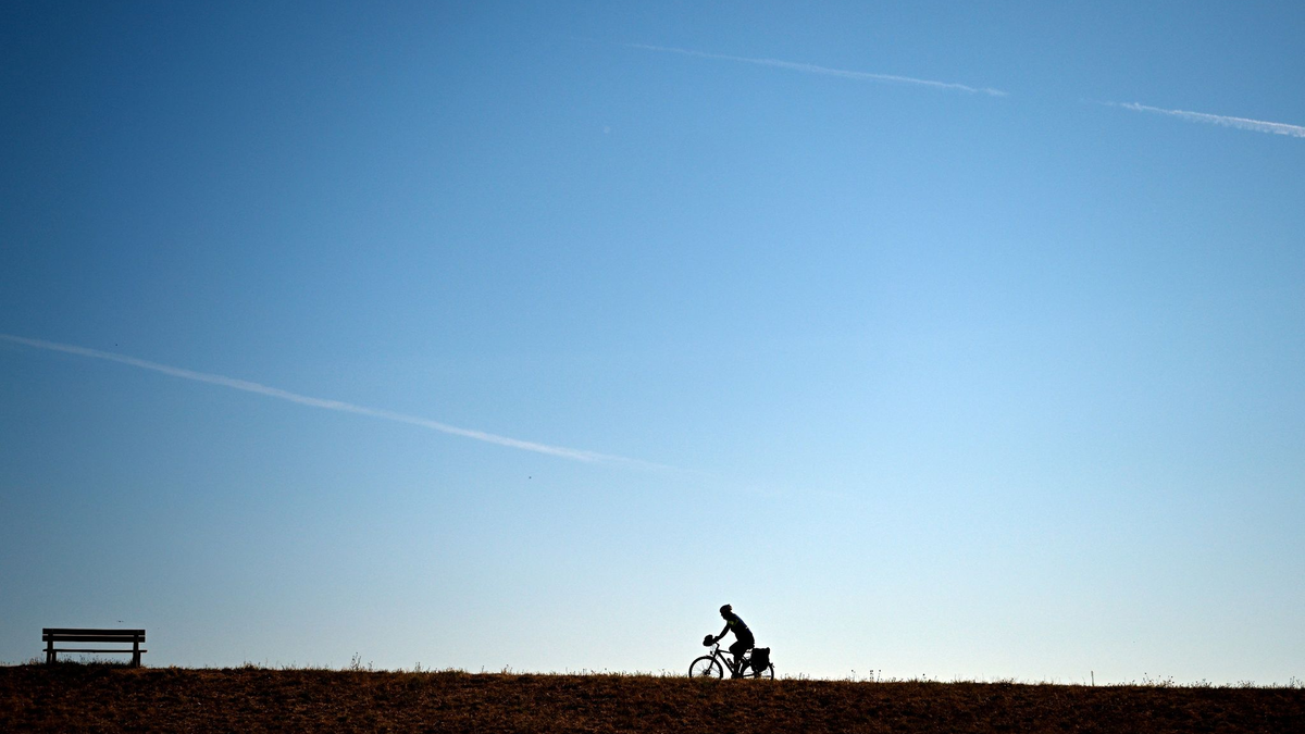 Eine Möwe vor einem wolkenverhangenen Himmel. - Foto: Federico Gambarini/dpa