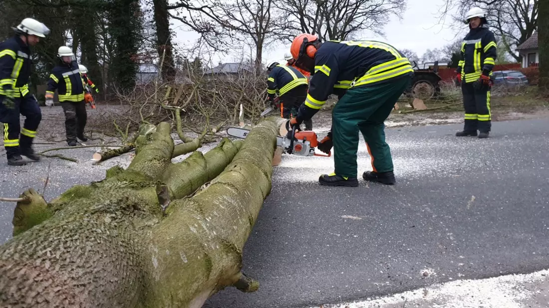 FFW Schiffdorf: Umgestürzter Baum blockiert Straße vollständig - Bild: presseportal.de
