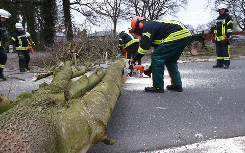 FFW Schiffdorf: Umgestürzter Baum blockiert Straße vollständig - Foto: presseportal.de