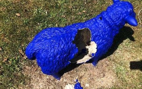 POL-PDLD: Ausgebüxte Schafe mit unerwarteter Geburt - Foto: presseportal.de