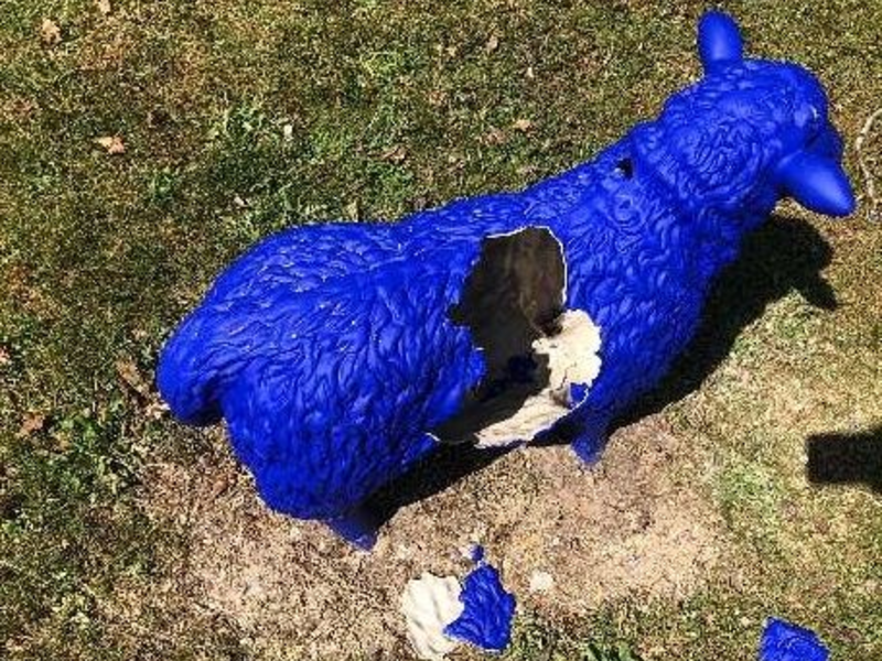 POL-PDLD: Ausgebüxte Schafe mit unerwarteter Geburt - Foto: presseportal.de