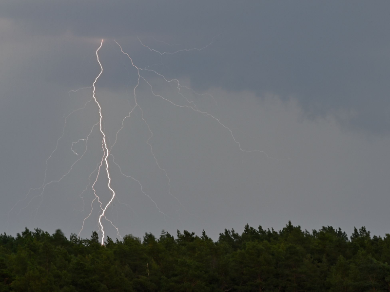 Brandspuren an einem Strommast nahe der Tesla-Autofabrik. - Foto: Patrick Pleul/dpa
