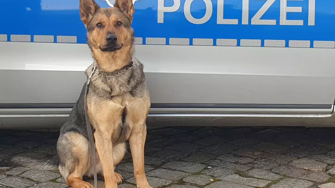 POL-HH: 250124-1. Vier vorläufige Festnahmen nach Einbruch in Gewerbebetrieb in Hamburg-Wilhelmsburg - Bild: presseportal.de