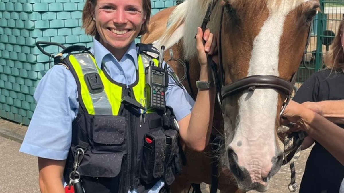 FW-GE: Feuerwehr Gelsenkirchen bei der Pferderettung - Foto: presseportal.de