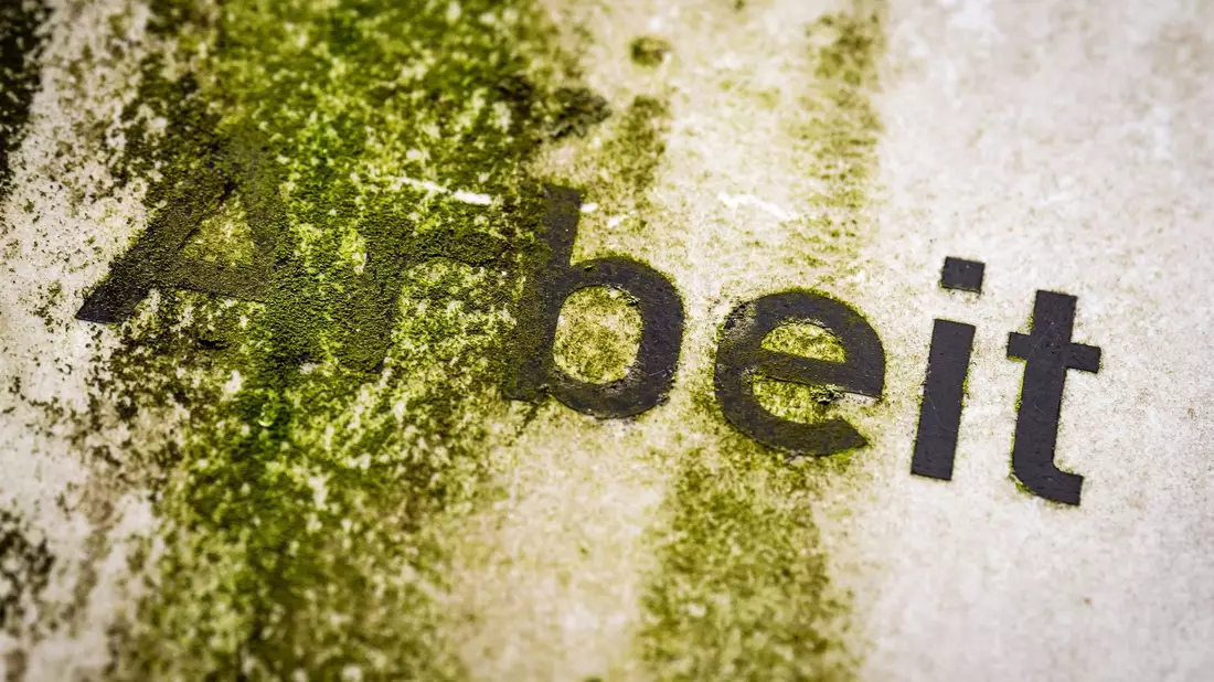 Die richtigen Investitionen könnten laut der Prognose auch den Arbeitsmarkt beleben.  - Bild: Sina Schuldt/dpa