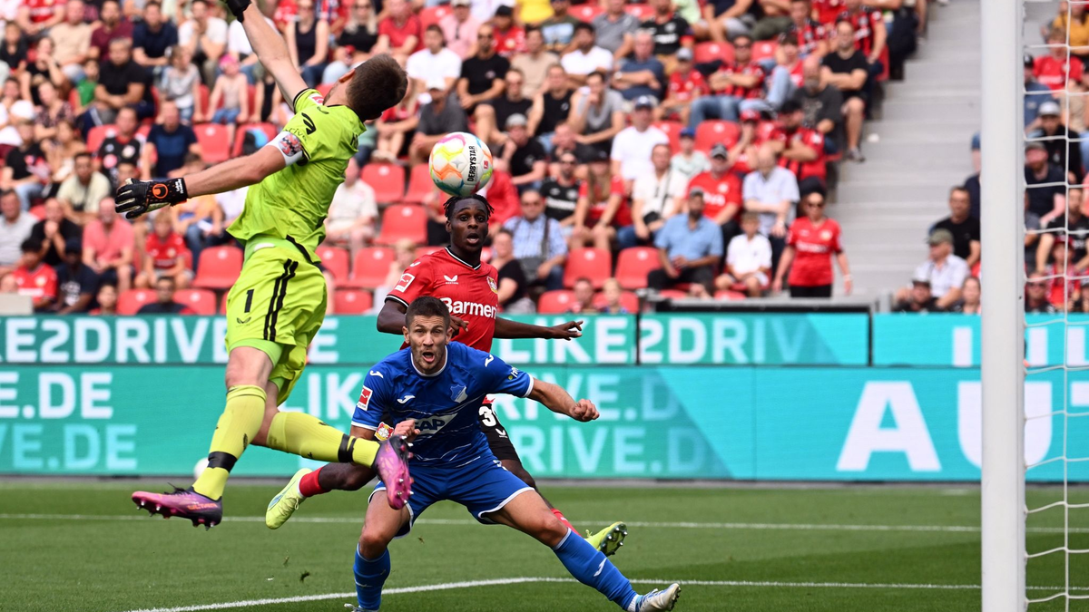 Hoffenheim jubelt über das Tor zum 2:1. - Foto: Federico Gambarini/dpa