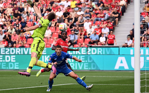 Hoffenheim jubelt über das Tor zum 2:1. - Foto: Federico Gambarini/dpa