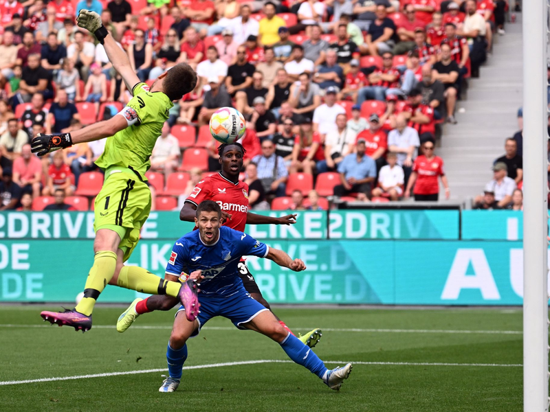 Hoffenheim jubelt über das Tor zum 2:1. - Foto: Federico Gambarini/dpa