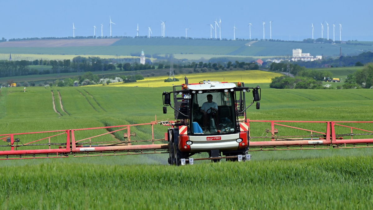 Der Einsatz von Pflanzenschutzmitteln auf den Feldern soll nach Plänen des Bundesagrarministeriums zurückgehen. - Foto: Martin Schutt/dpa