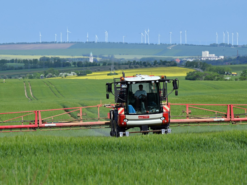 Der Einsatz von Pflanzenschutzmitteln auf den Feldern soll nach Plänen des Bundesagrarministeriums zurückgehen. - Foto: Martin Schutt/dpa