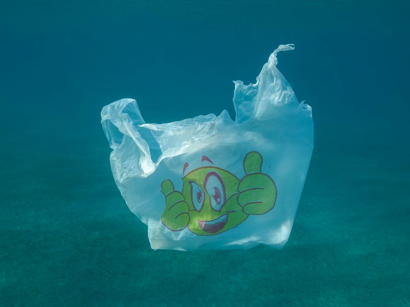 Eine weggeworfene Plastikflasche treibt im Roten Meer vor Ägypten. - Foto: Andrey Nekrasov/ZUMA Press Wire/dpa