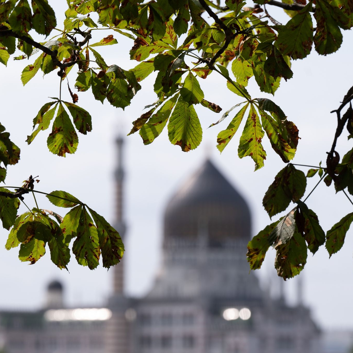 Der 48-Jährige Kretschmer wurde auf einer Vertreterversammlung seiner Partei mit 94,8 Prozent der Stimmen wie erwartet auf Platz eins der Landesliste gewählt. - Foto: Sebastian Kahnert/dpa