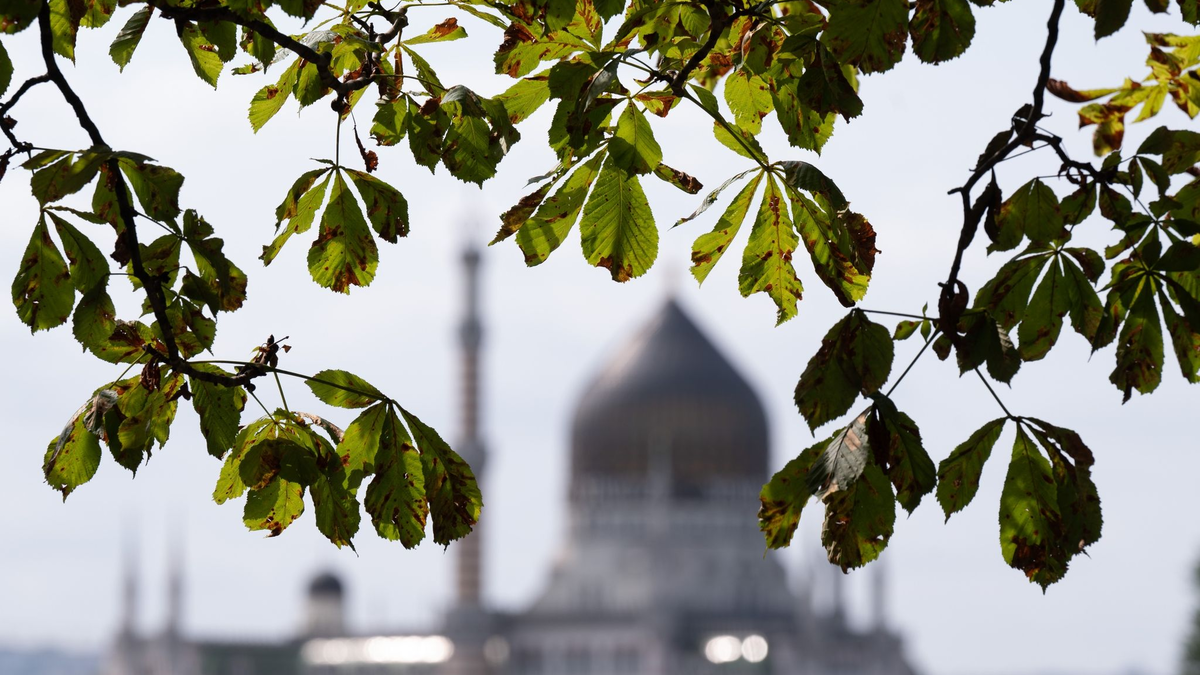 Die Töchter sowie die Ehefrau des inhaftierten Deutsch-Kubaners Luis  Frómeta Compte. - Foto: Sebastian Kahnert/dpa